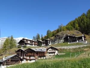 a group of houses on a hill with trees at Il Piccolo Residence in Gressoney-la-Trinité