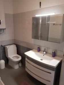 Koupelna v ubytování Apartment Vrba