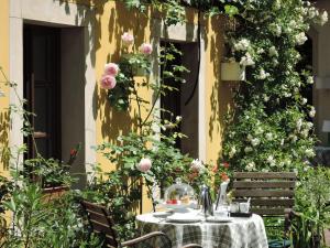 Zahrada ubytování Fährhaus Meißen B&B