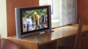 uma televisão em cima de uma mesa de madeira em Hotel Schlossberg em Meissen