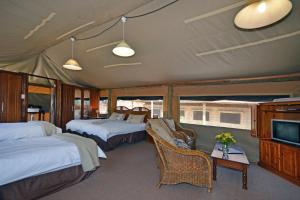 Gallery image of Hoopoe Haven Guest House in Chartwell