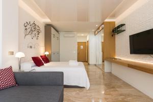 TV a/nebo společenská místnost v ubytování Suites Garden Loft Munch
