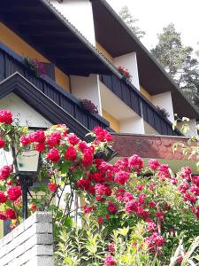 a bunch of pink flowers on a building at Ferienpension Garni Hubert Rigelnik in Sankt Kanzian