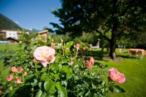 Zahrada ubytování Zur Brücke apartments and rooms - Your home in heart of South Tyrol, with Brixencard