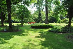 un parc avec des arbres et un banc rouge dans l'herbe dans l'établissement La Roseraie. Gaume-Ardenne-lacuisine sur Semois., à Florenville