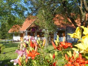 A garden outside Vendégmarasztaló Porta