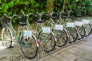 Jazda na bicykli v okolí ubytovania Hotel La Bussola + 37 fotografií