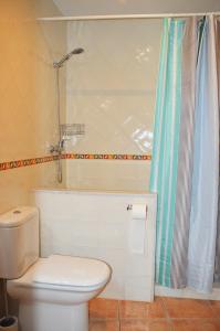 a bathroom with a toilet and a shower at Apartament Esterri Centre in Esterri d'Àneu