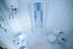a bathroom with a shower and a toilet and a sink at Na Poczatku - Apartamenty in Darłowo
