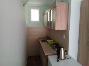 Kuchyň nebo kuchyňský kout v ubytování Apartments M&Z
