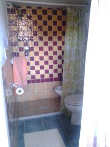 a bathroom with a checkered shower curtain and a toilet at Agriturismo Silitta in Siniscola