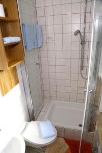 ein Badezimmer mit einer Dusche, einem WC und einer Badewanne in der Unterkunft Landhotel Garni Schweizerhaus in Schönwald