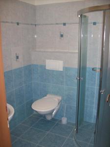Ubytovani u Lysonku في كلينتنيس: حمام مع مرحاض ودش