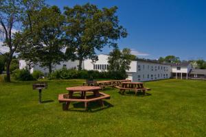 a group of picnic tables in a field at Sandwich Lodge & Resort in Sandwich