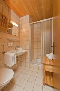 a bathroom with a shower and a sink and a toilet at Appartement Seibl in Sankt Johann in Tirol
