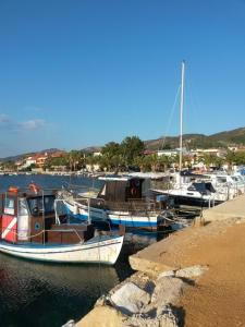 a group of boats are docked in a harbor at Sea&Stone Apartment in Skala Sotiros