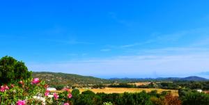 a view of a valley with flowers and trees at La Canardiere in Casta