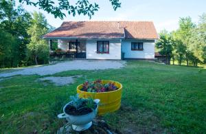 a house with a yellow pot of flowers in a yard at Holiday Home Radočaj in Slunj +65 photos