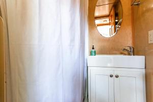 オースティンにあるTiny Houseのバスルーム(白いシャワーカーテン、シンク付)