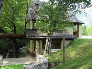 Zahrada ubytování Apartma Narnia