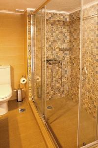 雅典的住宿－Aries - Glyfada City Center Apartment，带淋浴和卫生间的浴室