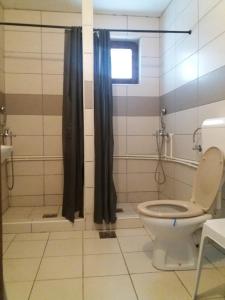 a bathroom with a toilet and a shower at Motel Zaborje in Plužine