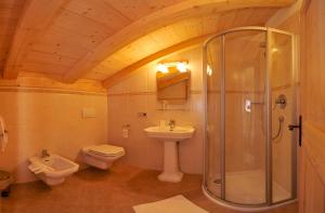 a bathroom with a shower and a toilet and a sink at Agriturismo Maso Larciunei in Selva di Val Gardena +30 photos