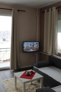 a living room with a couch and a table and a tv at Villa Flora Guesthouse in Kruševo