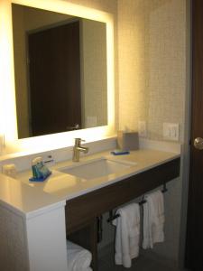 Koupelna v ubytování Holiday Inn Express & Suites - Houston NW - Cypress Grand Pky by IHG