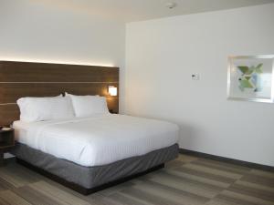 Postel nebo postele na pokoji v ubytování Holiday Inn Express & Suites - Houston NW - Cypress Grand Pky by IHG