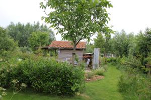 einen Garten mit einem kleinen Haus und einem Baum in der Unterkunft De olde banck in Stavoren