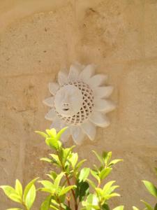 uma flor branca no lado de uma parede em Casa Vacanze Bel sole em Monopoli