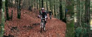 two people riding bikes on a trail in the woods at Albergue Irugoienea in Espinal-Auzperri