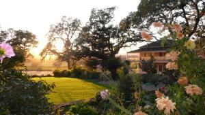 a garden with a house in the background with flowers at Beltane Ranch in Glen Ellen