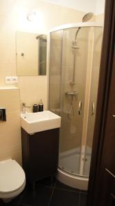 グディニャにあるApartament 22のバスルーム(シャワー、洗面台、トイレ付)