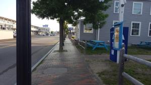 a brick sidewalk with a tree on the side of a street at The Inn at Soho Square in Old Orchard Beach