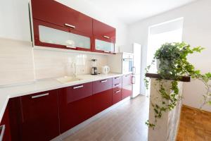 Kuchyň nebo kuchyňský kout v ubytování APARTMENT ANA 4+2