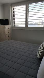a bedroom with a large bed and two windows at Banyandah Towers in Maroochydore