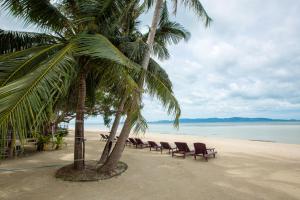 a row of chairs and palm trees on a beach at Da Kanda Villa Beach Resort in Thong Sala