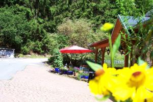 Zahrada ubytování Landhotel Baumwipfel