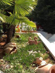 a garden with rocks and a bird in the grass at Pansion Manuela in Vrsar