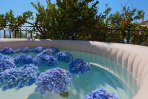 マッサ・ルブレンセにあるSunset In Relaxのスイミングプールの青い花束