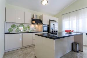 Kuchyň nebo kuchyňský kout v ubytování Apartmani Lukić