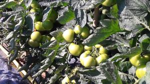 Fotografie z fotogalerie ubytování Casa Orti v destinaci Grottammare