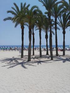 Pláž u prázdninového domu