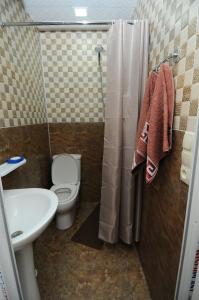 een badkamer met een toilet en een wastafel bij Guest House Darejani in Koetaisi