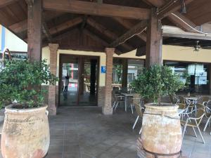 格拉納達的住宿－洛斯格萊勒斯酒店酒店，一座有两桶大木桶的建筑,里面有树木