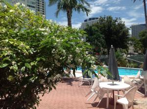 a pool with tables and chairs and a tree with white flowers at Birch Patio Motel in Fort Lauderdale