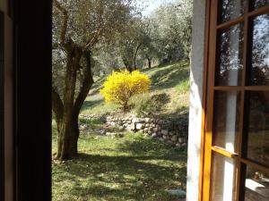 Gallery image of Villa Rocca in Marciaga