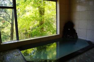 Vue sur la piscine de l'établissement Ryokan Seizan ou sur une piscine à proximité